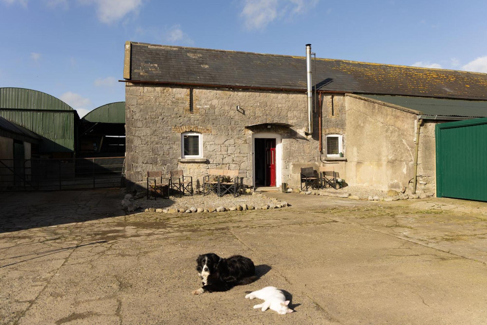 Fitz Of Inch Hotel Stradbally  Luaran gambar